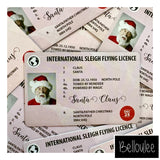 Santa's flying licence